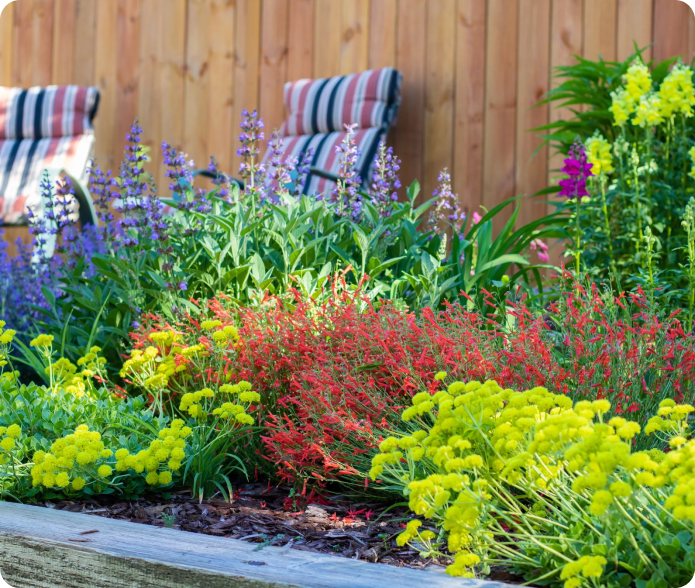 garden in a box banner